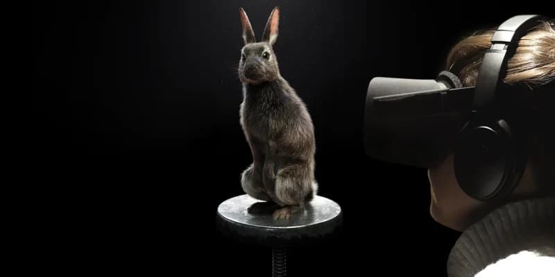 World's first VR live acting experience for dialogue with virtual animals.